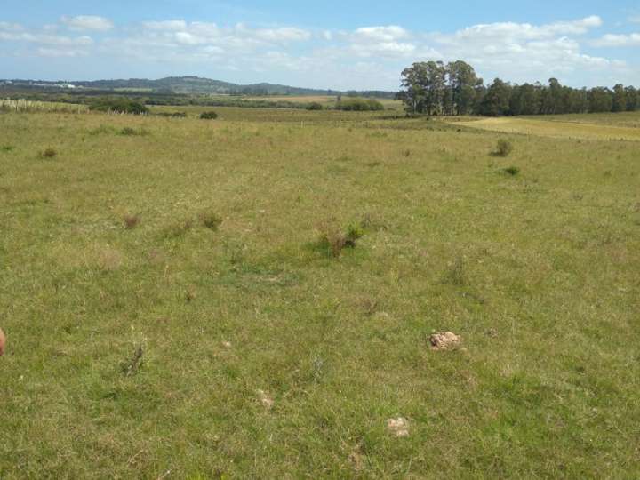 Granja en venta en Maldonado