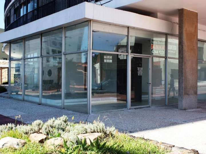 Comercial / Tienda en venta en Maldonado