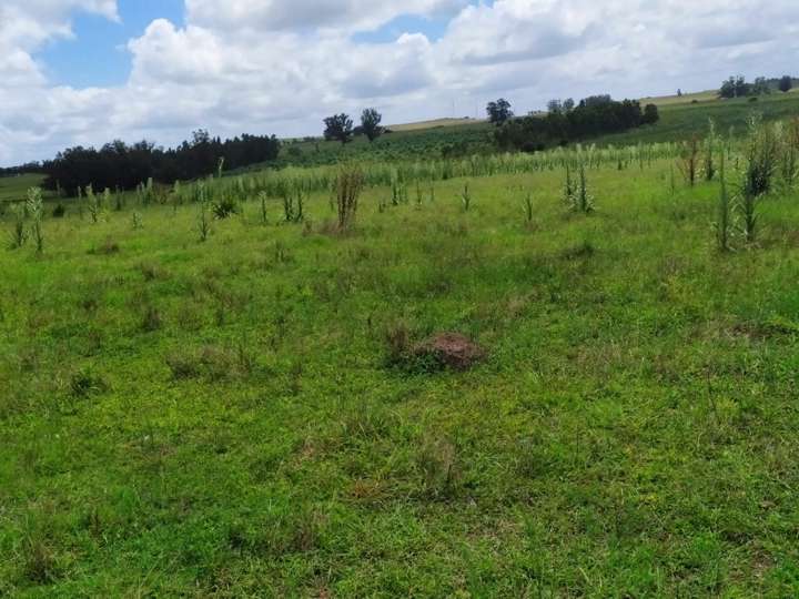 Granja en venta en Maldonado