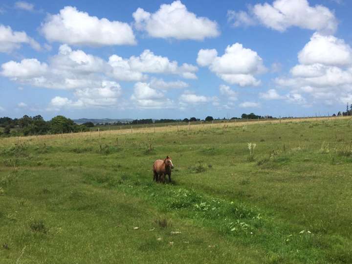 Granja en venta en Maldonado