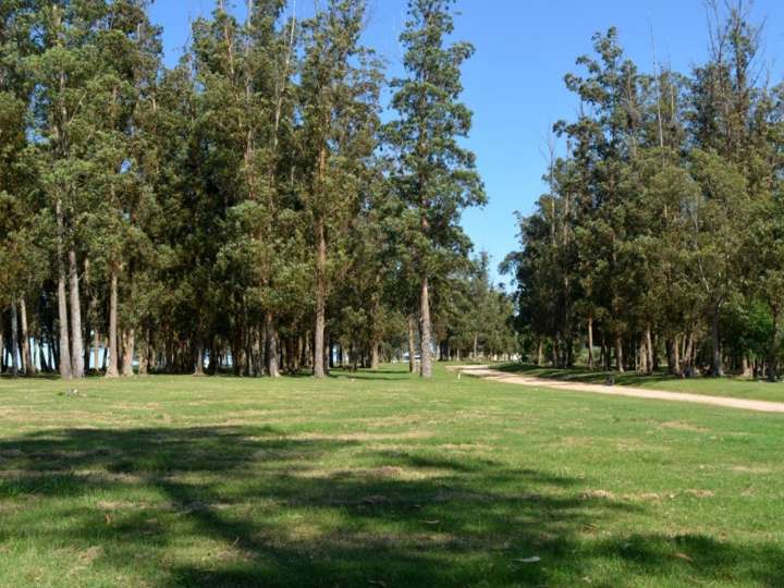 Terreno en venta en Maldonado