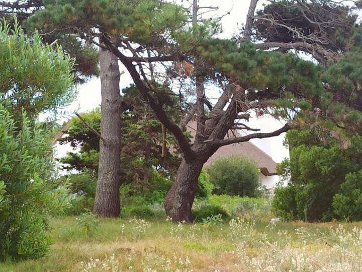 Terreno en venta en Maldonado