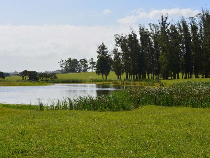 Terreno en venta en Maldonado