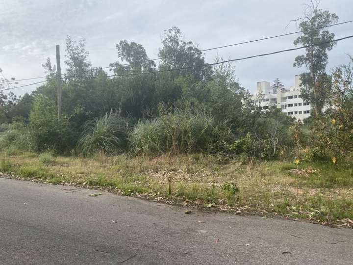 Terreno en venta en Alfonsina Storni, San Rafael - El Placer