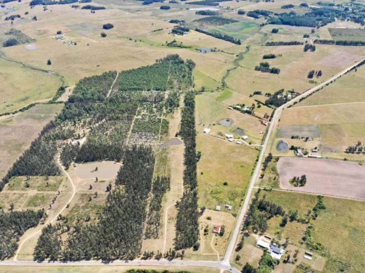 Granja en venta en Ruta 104 Doctor Alejandro Atchugarry, Maldonado