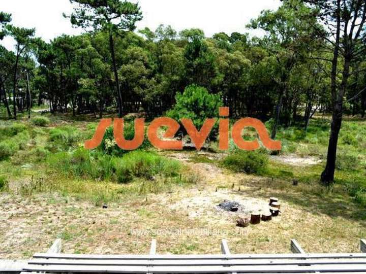 Casa en venta en Maldonado