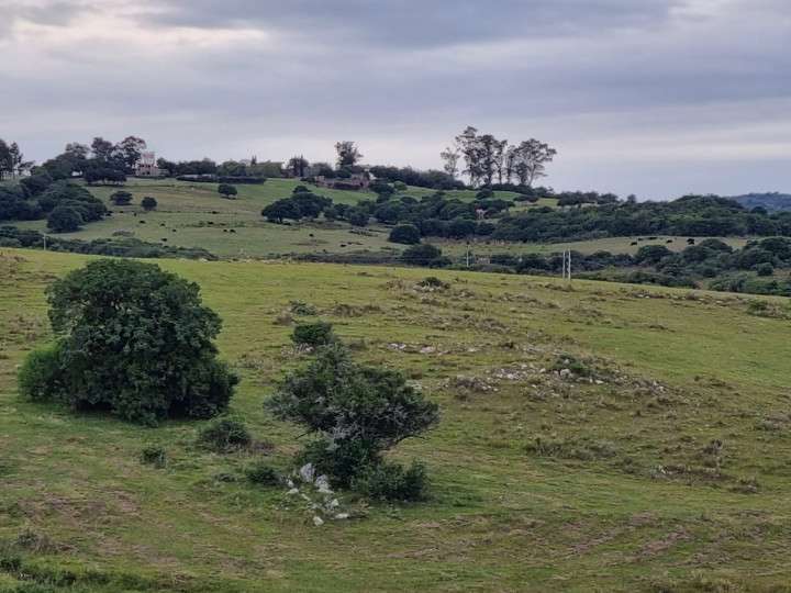 Granja en venta en Maldonado