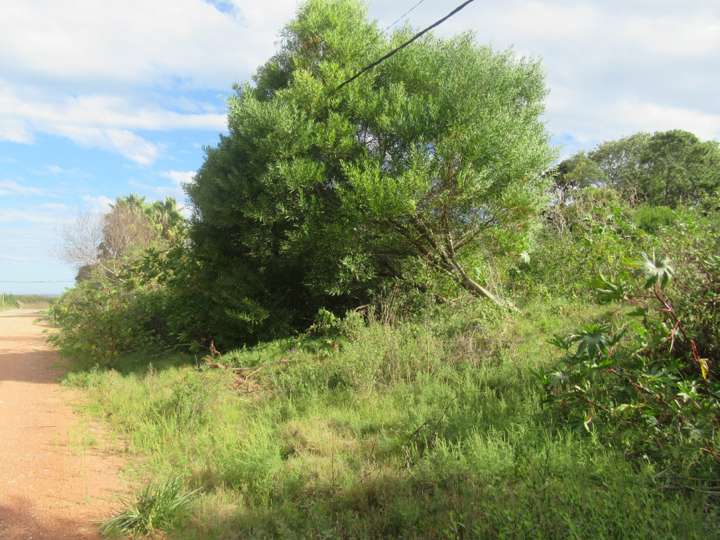 Terreno en venta en Pablo Picasso, San Rafael - El Placer