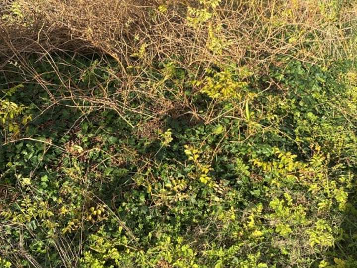 Terreno en venta en Maldonado