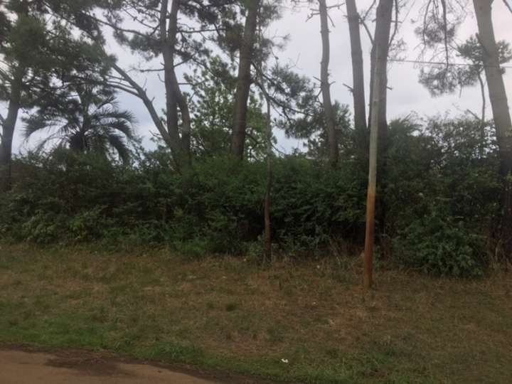 Terreno en venta en Avenida Franklin Delano Roosevelt, Punta Del Este