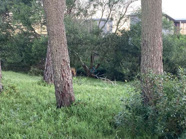 Terreno en venta en Paqueta, Maldonado