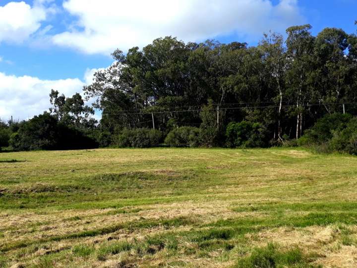 Terreno en venta en Ruta 71, Maldonado