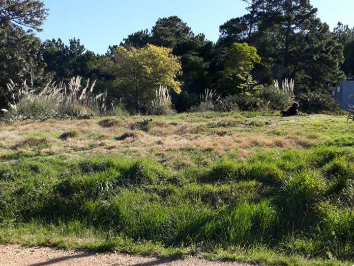 Terreno en venta en Brisa Marina, Maldonado