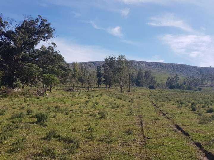 Granja en venta en Vecinal Las Vertientes, Maldonado