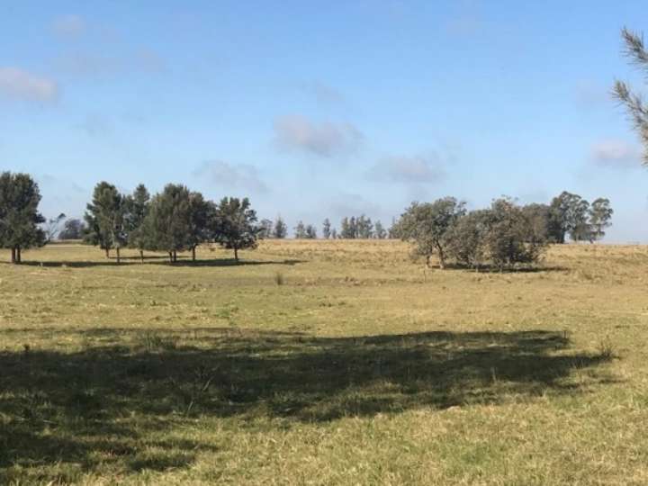 Granja en venta en Camino Medellín, Maldonado