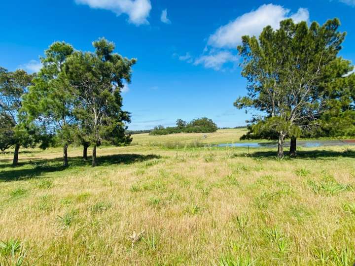 Granja en venta en Magdalena, Maldonado