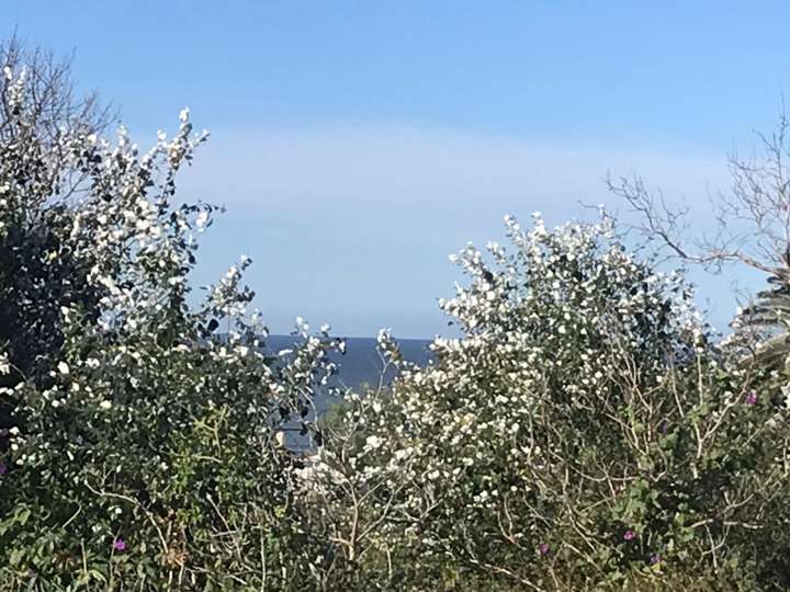 Terreno en venta en Pescadilla, El Chorro