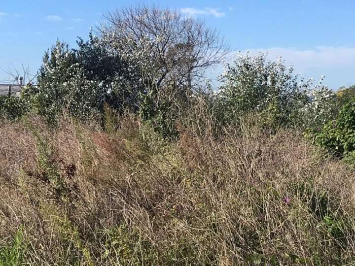 Terreno en venta en Durazno, Maldonado