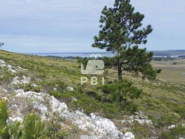 Granja en venta en Vecinal Las Vertientes, Maldonado