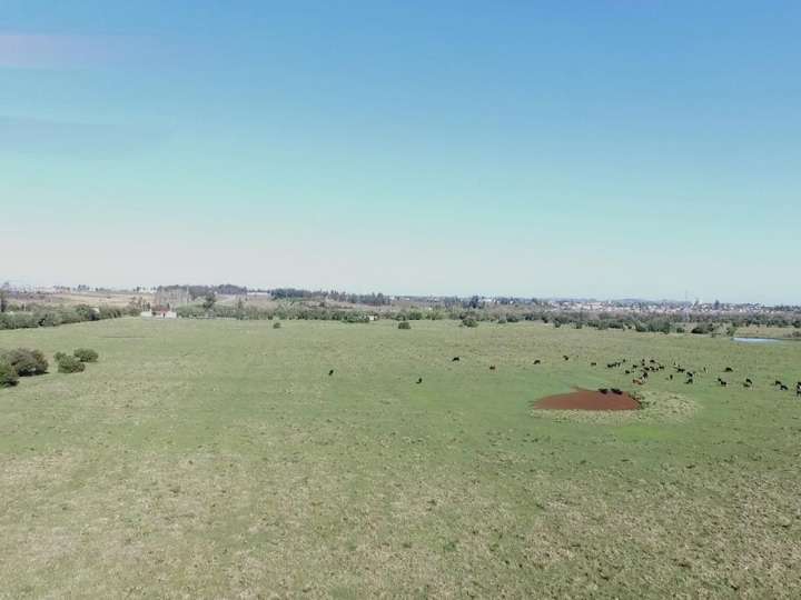 Granja en venta en Maldonado