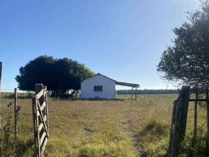 Granja en venta en Rocha