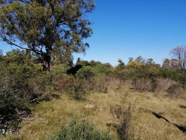 Terreno en venta en Maldonado