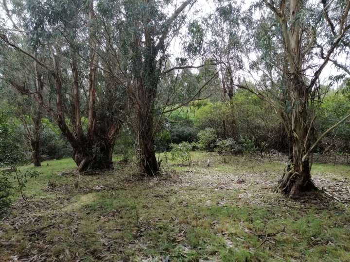 Granja en venta en Maldonado