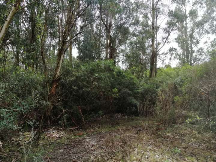 Granja en venta en Maldonado