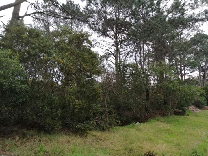 Granja en venta en Piriápolis