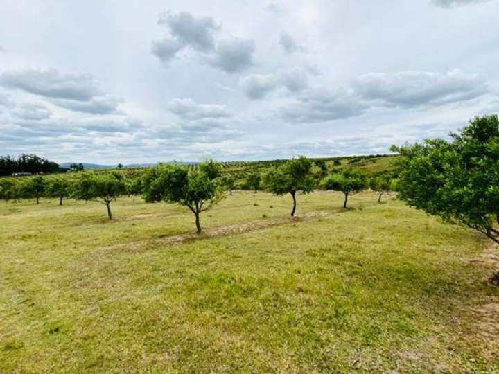 Granja en venta en Maldonado