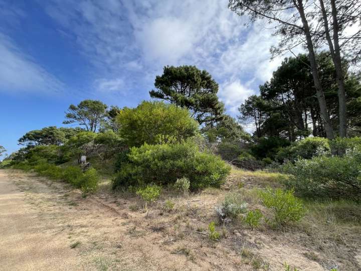 Terreno en venta en La Botavara, Maldonado