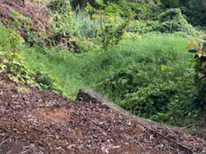 Terreno en venta en De Los Tilos, San Rafael - El Placer