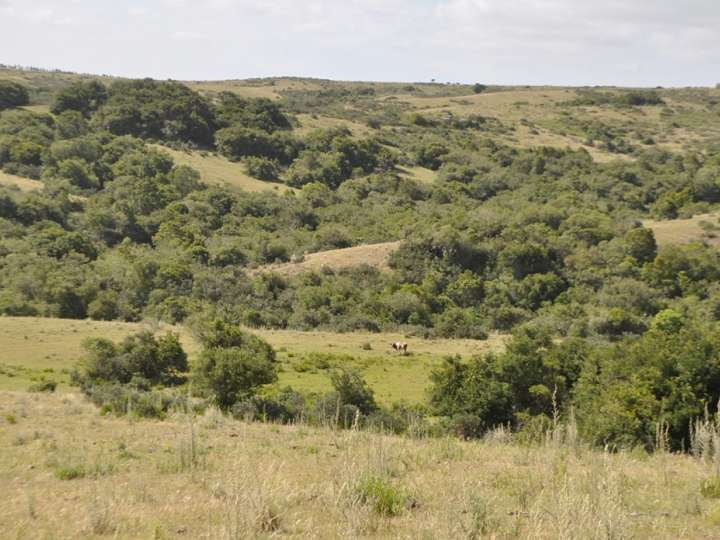 Granja en venta en Maldonado