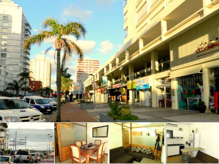 Comercial / Tienda en venta en Maldonado