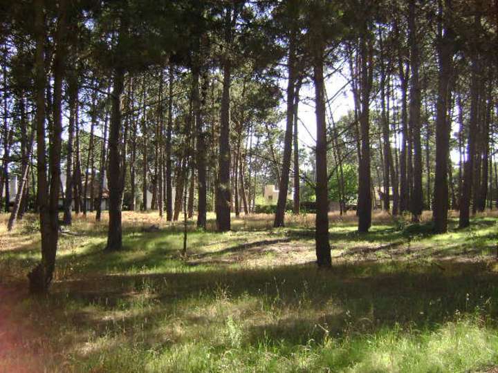 Terreno en venta en Pinares, Maldonado