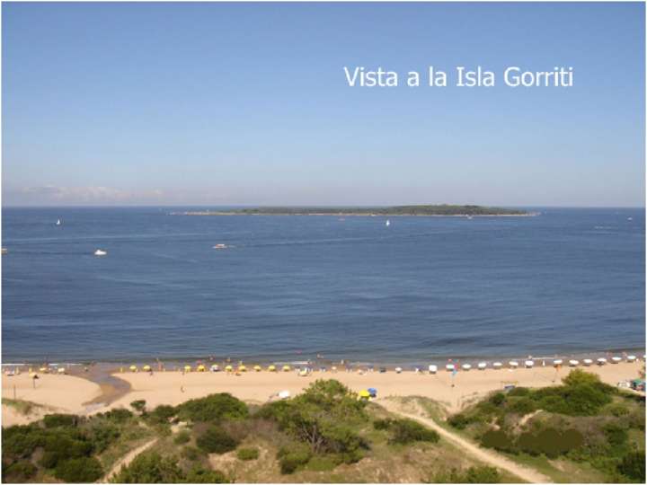 Apartamento en venta en Punta Del Este