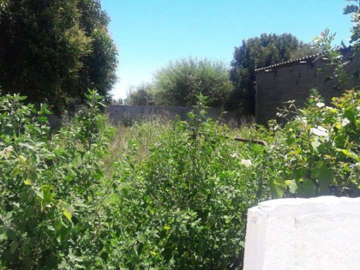 Casa en venta en Maldonado