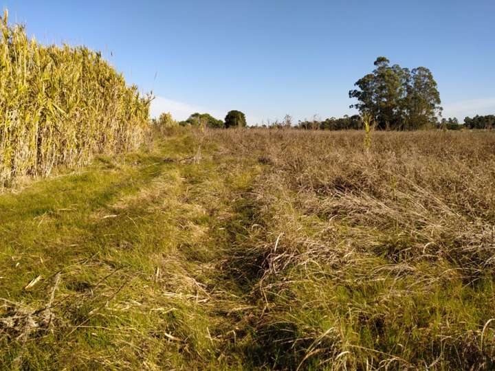 Granja en venta en Sauce