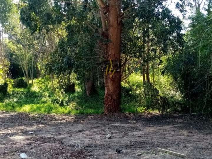 Terreno en venta en Maldonado
