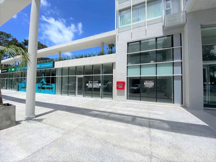 Comercial / Tienda en venta en Avenida Franklin Delano Roosevelt, Punta Del Este