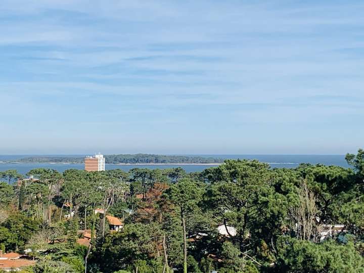 Apartamento en venta en Avenida Franklin Delano Roosevelt, Punta Del Este