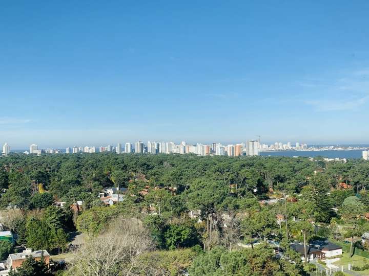 Apartamento en venta en Avenida Franklin Delano Roosevelt, Punta Del Este