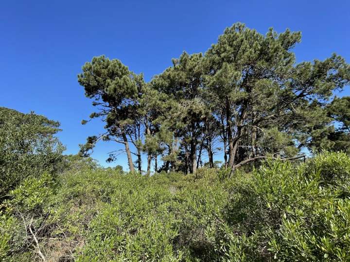 Terreno en venta en Maldonado