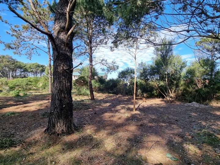 Terreno en venta en Maldonado