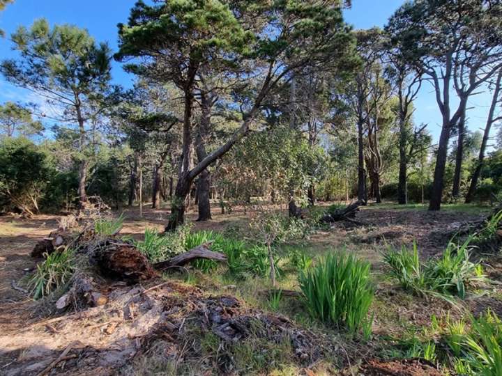 Terreno en venta en Maldonado