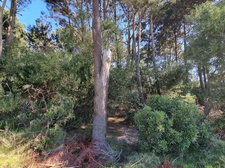 Terreno en venta en Colombia, Maldonado