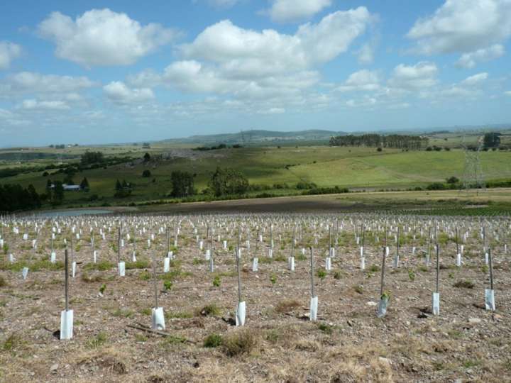 Granja en venta en Maldonado