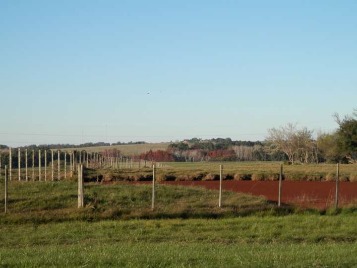 Granja en venta en La Barra
