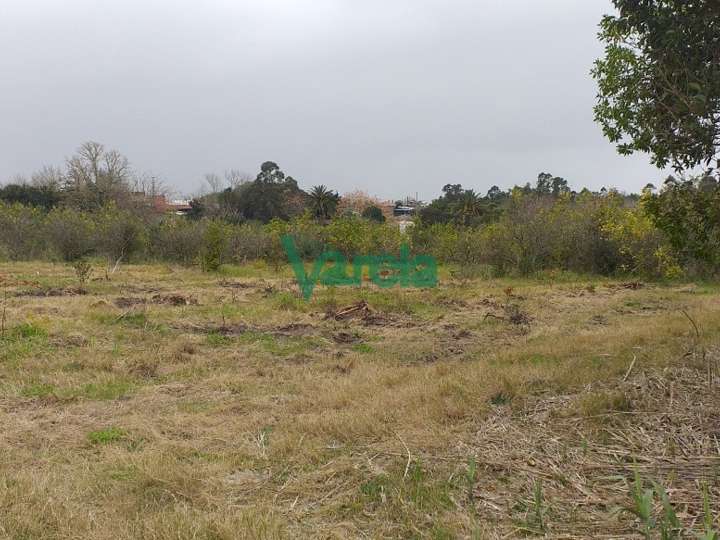 Terreno en venta en Achiras, Salinas