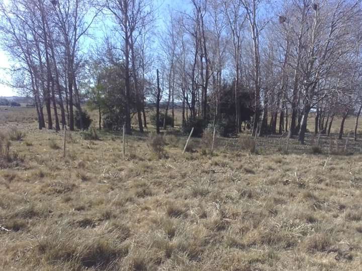 Granja en venta en Lavalleja